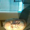 jim_hardt